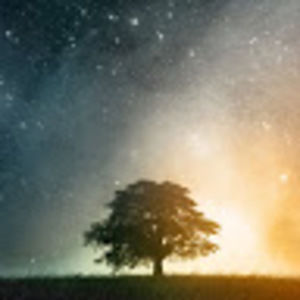 Meet your Posher, Dylan